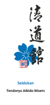 Flyer Seidokan Dojo